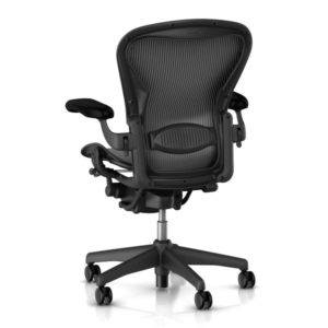 Herman Miller Lumbar Pad